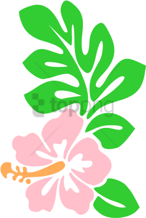 Pink Hibiscus Vector Illustration