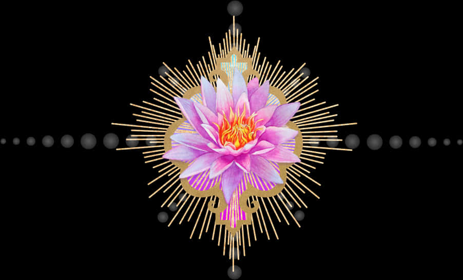 Plant,illustration,water Lily,art - Passion Flower, HD Png Download PNG with transparent background