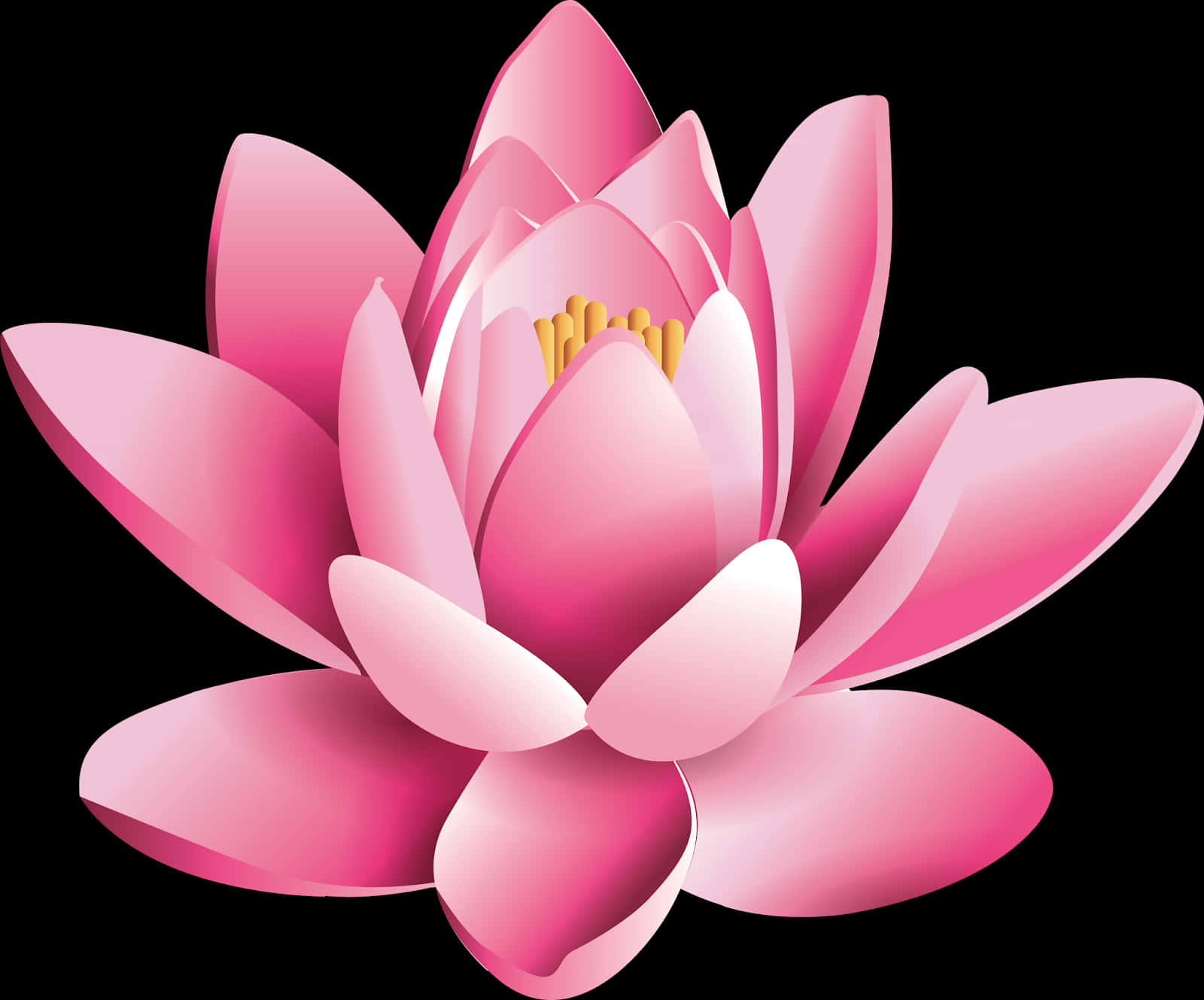 Pink Lotus Flower Illustration