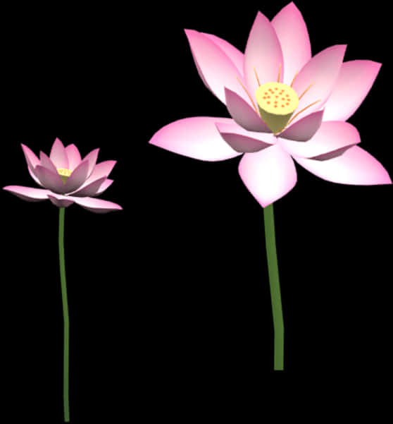 Sacred Lotus, HD Png Download PNG image with a transparent background, free high-resolution download