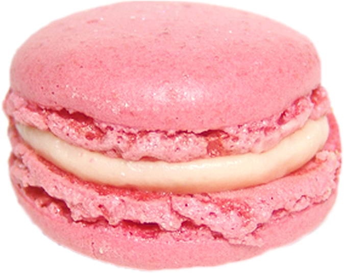 Pink Macaron Delicious Treat