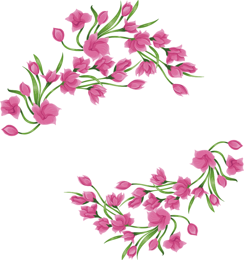 Ftestickers Watercolor Flowers Frame Borders Pinkroses - Magnolia Blossom Pink Png Vector, Transparent Png PNG with transparent background