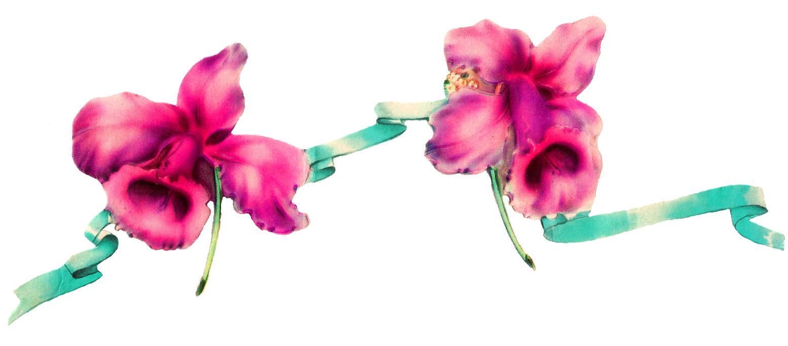 Border Digital Daffodil Download Image - Png Digital Flowers Designs, Transparent Png PNG with transparent background