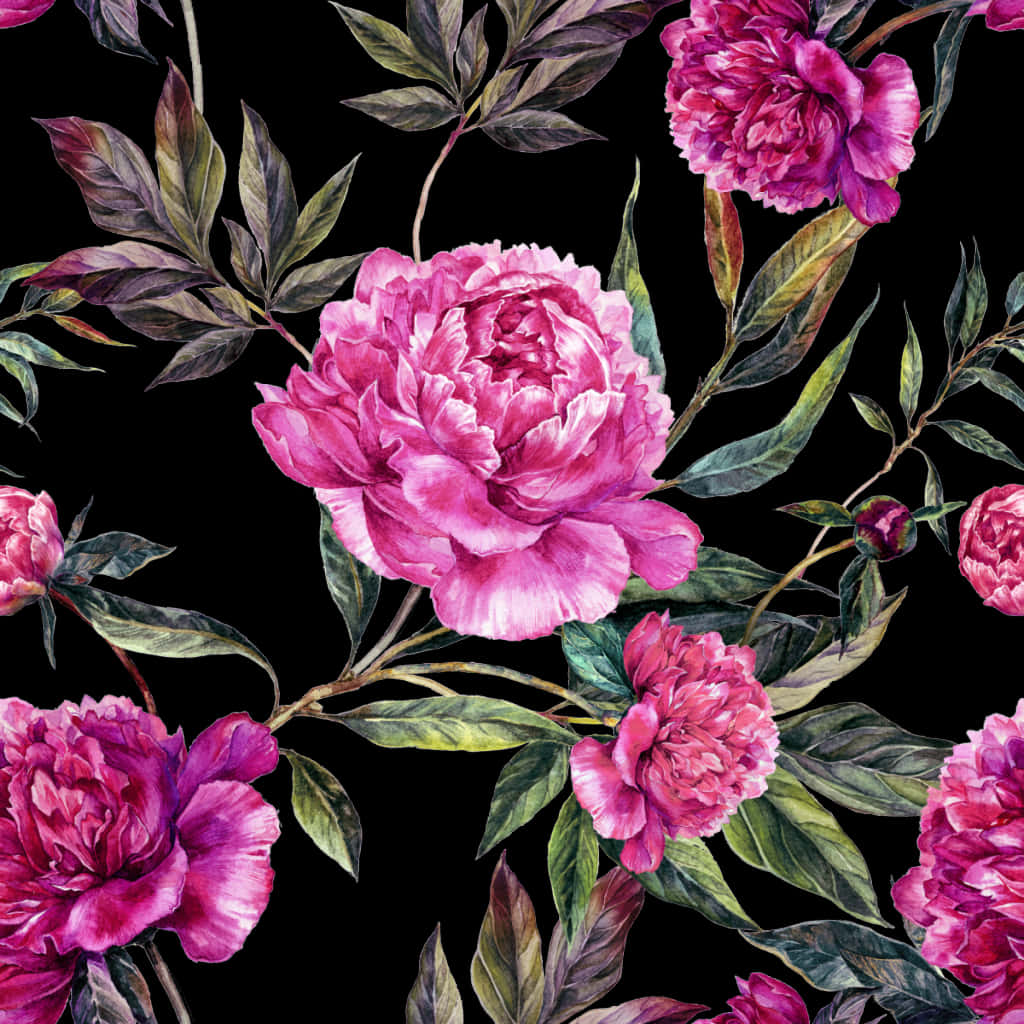 Pink Peonies Pattern Dark Background