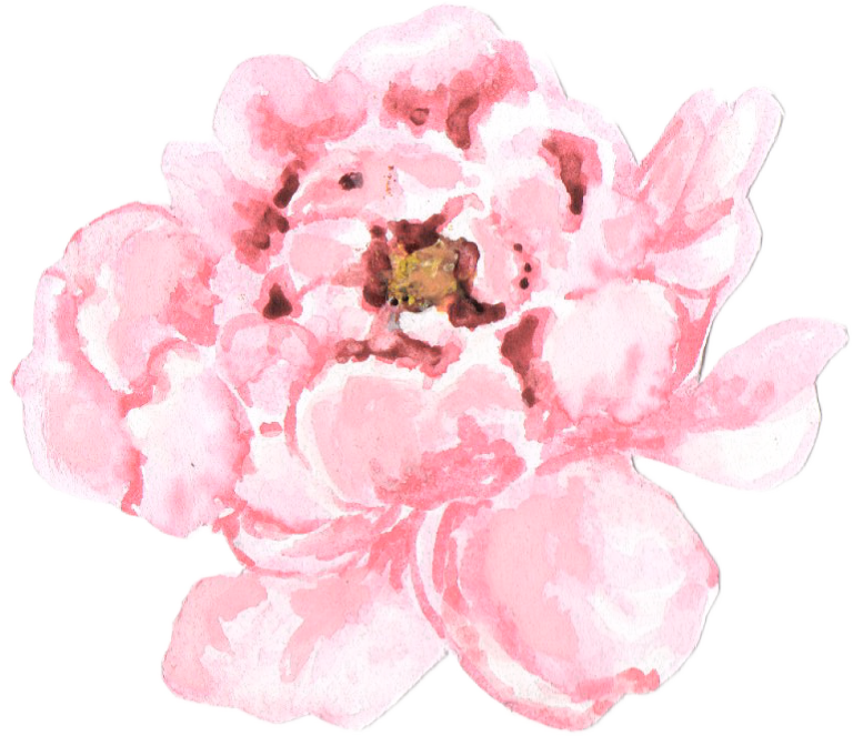 Png Pale Pink Peonies Transparent , Png Download - Watercolor Peonies Png, Png Download PNG with transparent background