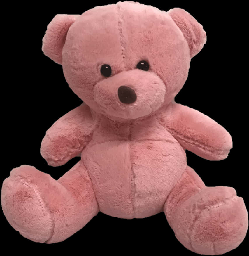 Pink Plush Teddy Bear Toy