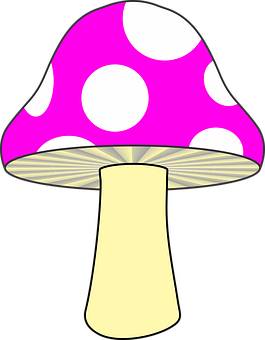 Pink Polka Dot Mushroom Clipart PNG with transparent background