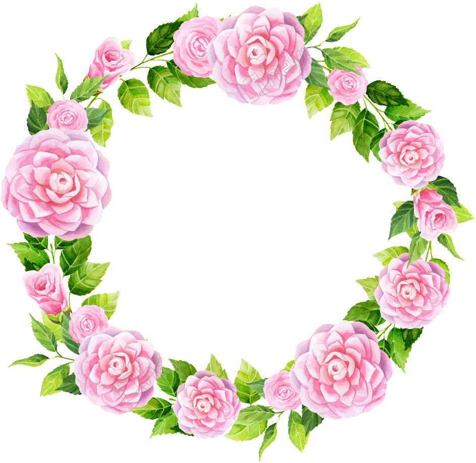 Pink Rose Floral Frame