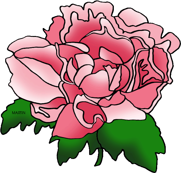 Pink Rose Outline Illustration