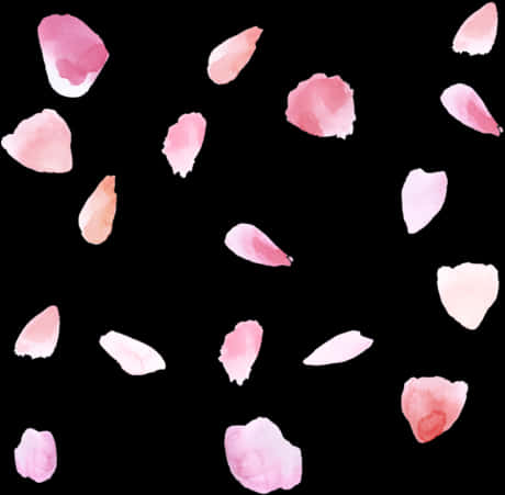 Pink Rose Petals Black Background