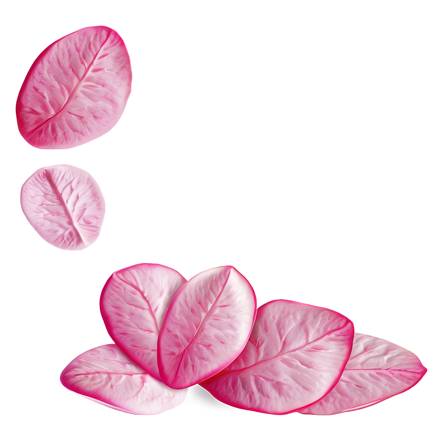 Pink Rose Petals Png 34