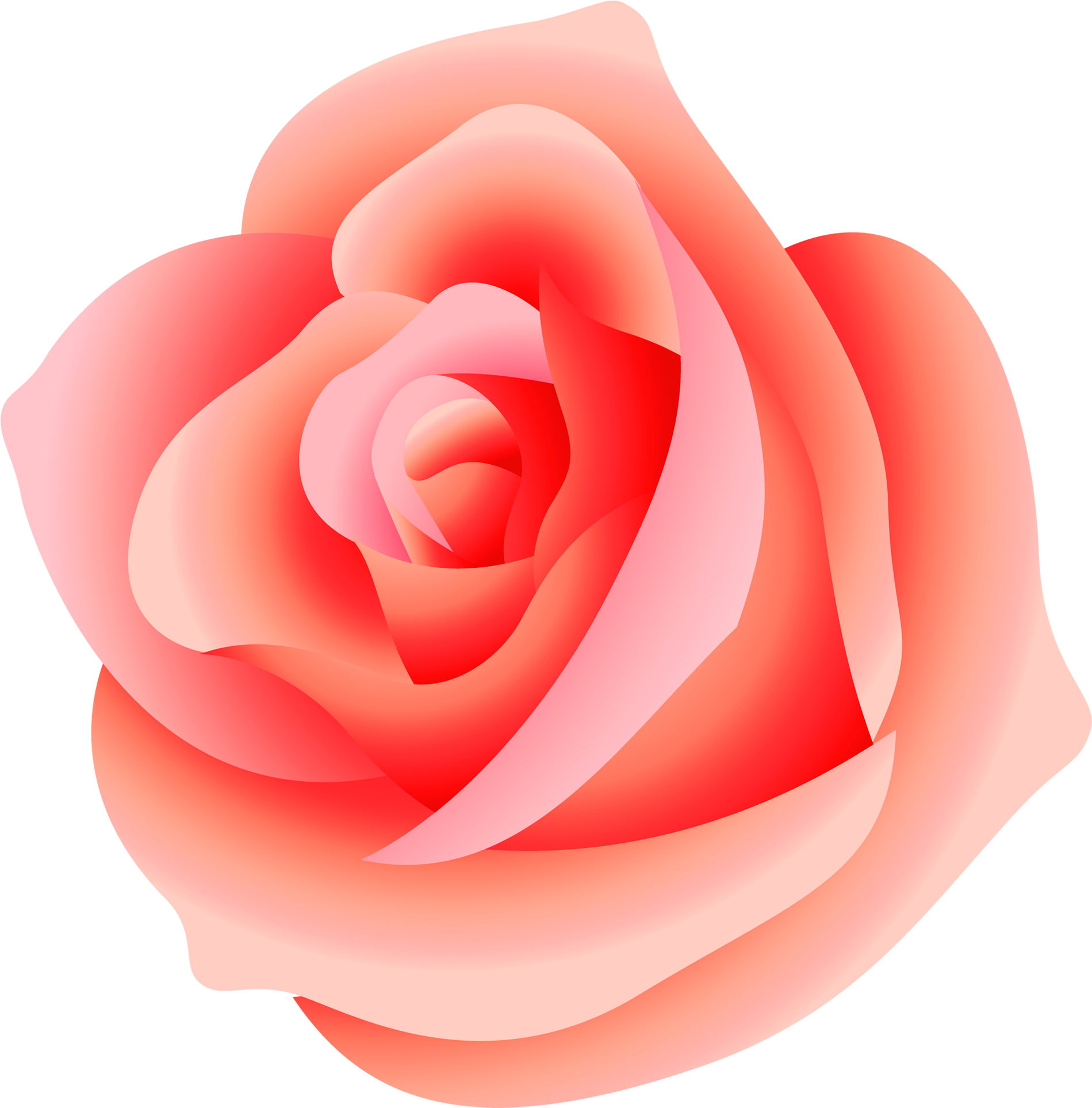 Pink Rose Vector Illustration