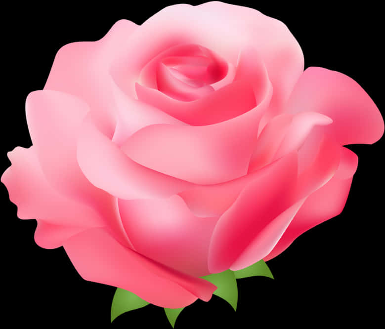 Pink Rose Vector Illustration PNG with transparent background