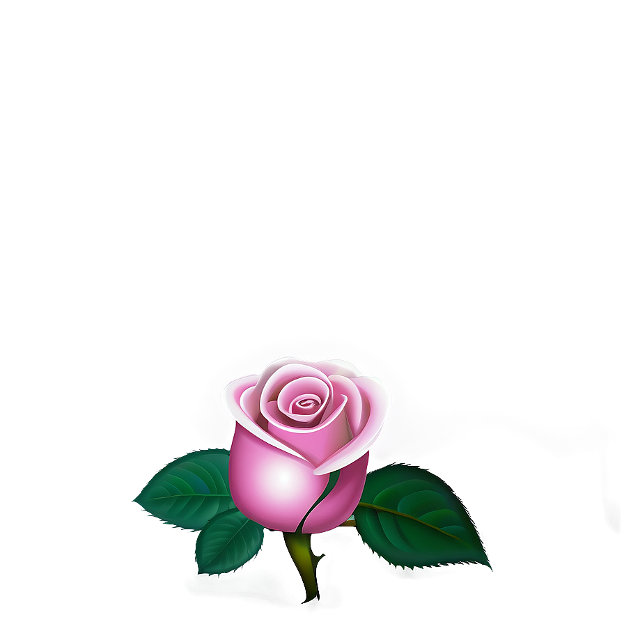 Pink Rose Wallpaper Png 53