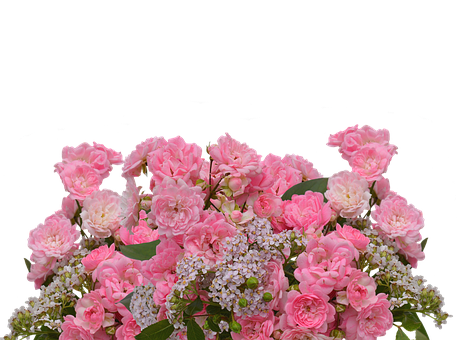 Pink Roses Bouquet Black Background PNG with transparent background