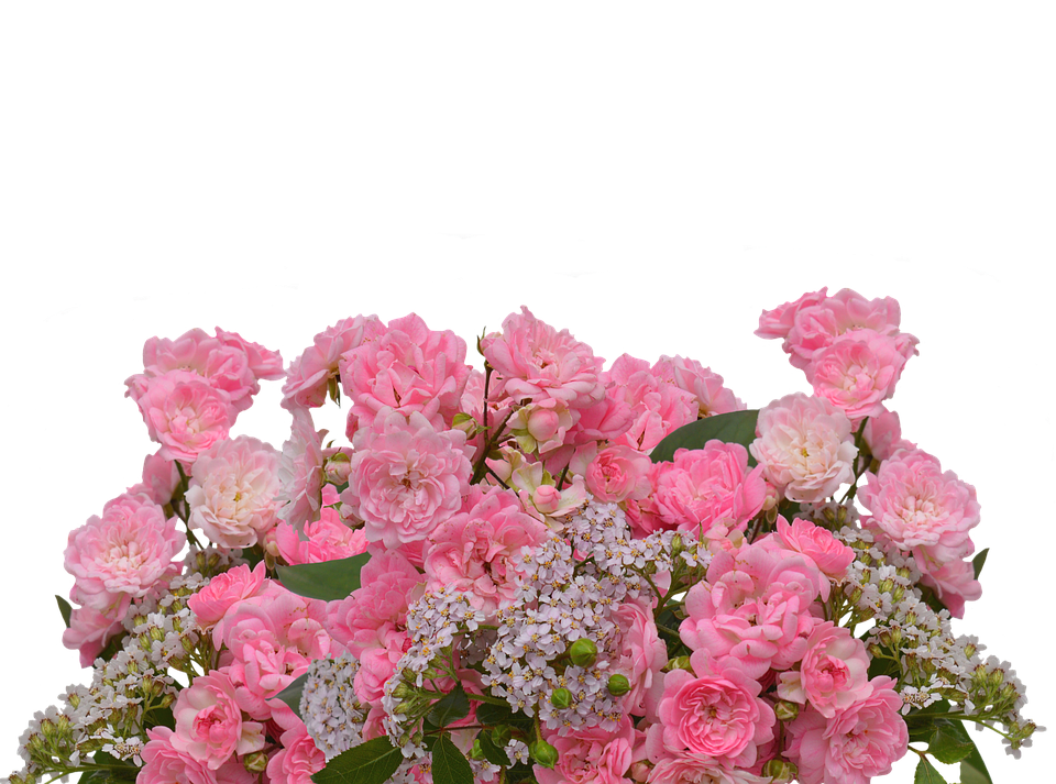 Pink Roses Bouquet Transparent Background