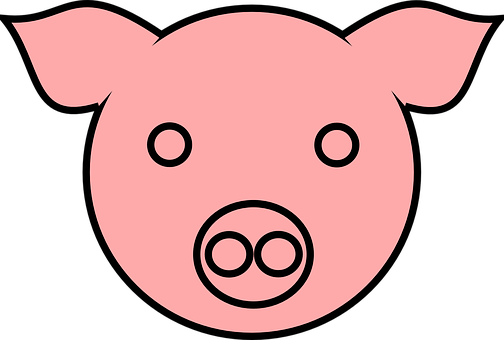 Pink Simple Pig Icon