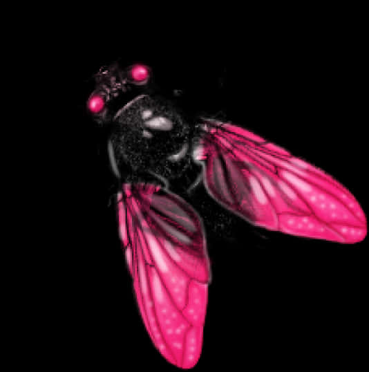 Pink Winged Fly Illustration