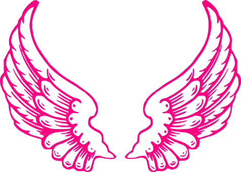 Pink Winged Silhouette Art PNG with transparent background