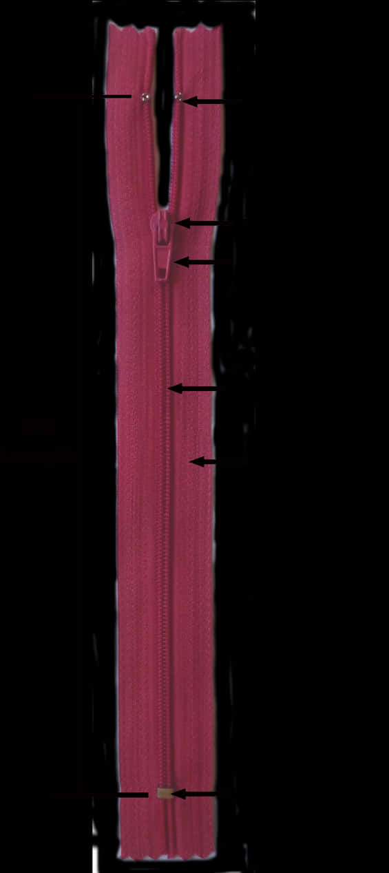 Zipper, HD Png Download PNG with transparent background