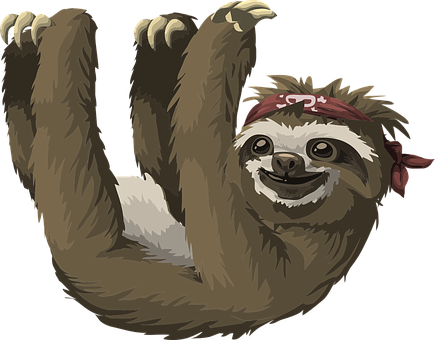 Pirate Bandana Sloth Hanging PNG with transparent background
