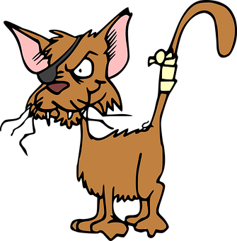 Pirate Cat Cartoon Illustration PNG with transparent background