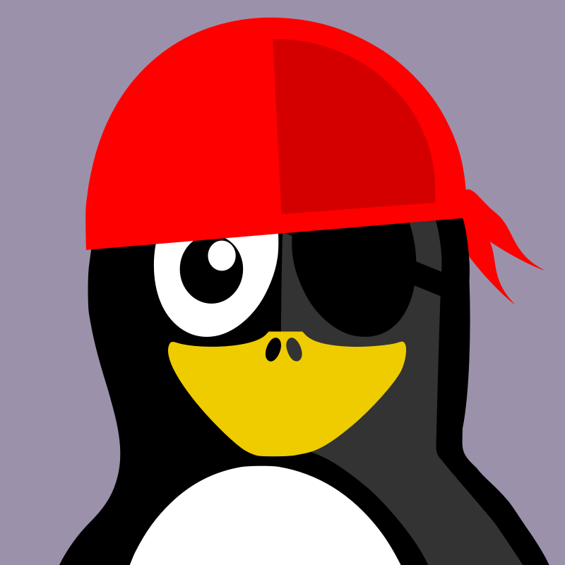 Pirate Penguin Cartoon Character PNG with transparent background