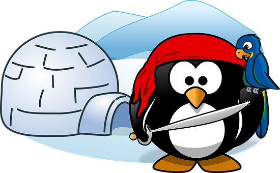 Pirate Penguinwith Treasure Igloo PNG with transparent background