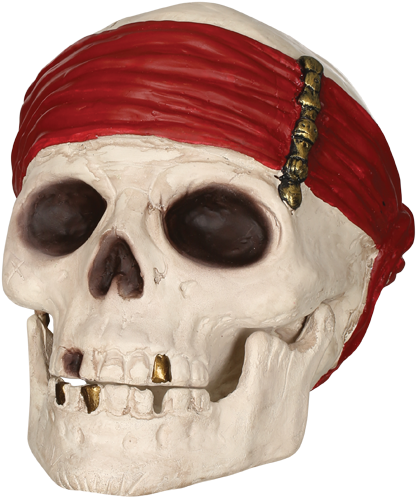 Pirate Skullwith Red Bandana PNG with transparent background