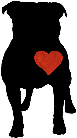 Pitbull Silhouettewith Heart