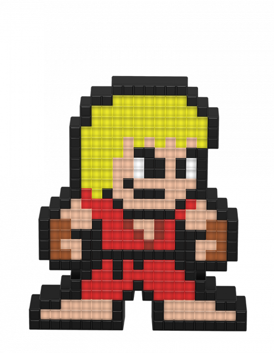 Pixel Art Street Fighter Character