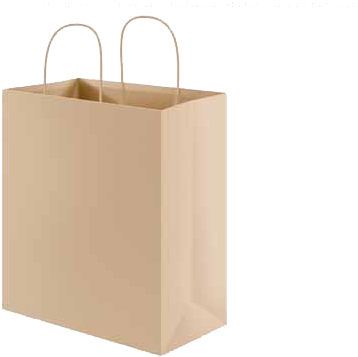 Plain Brown Paper Shopping Bag