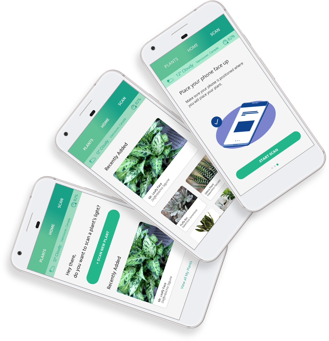 Plant Identification App Interface