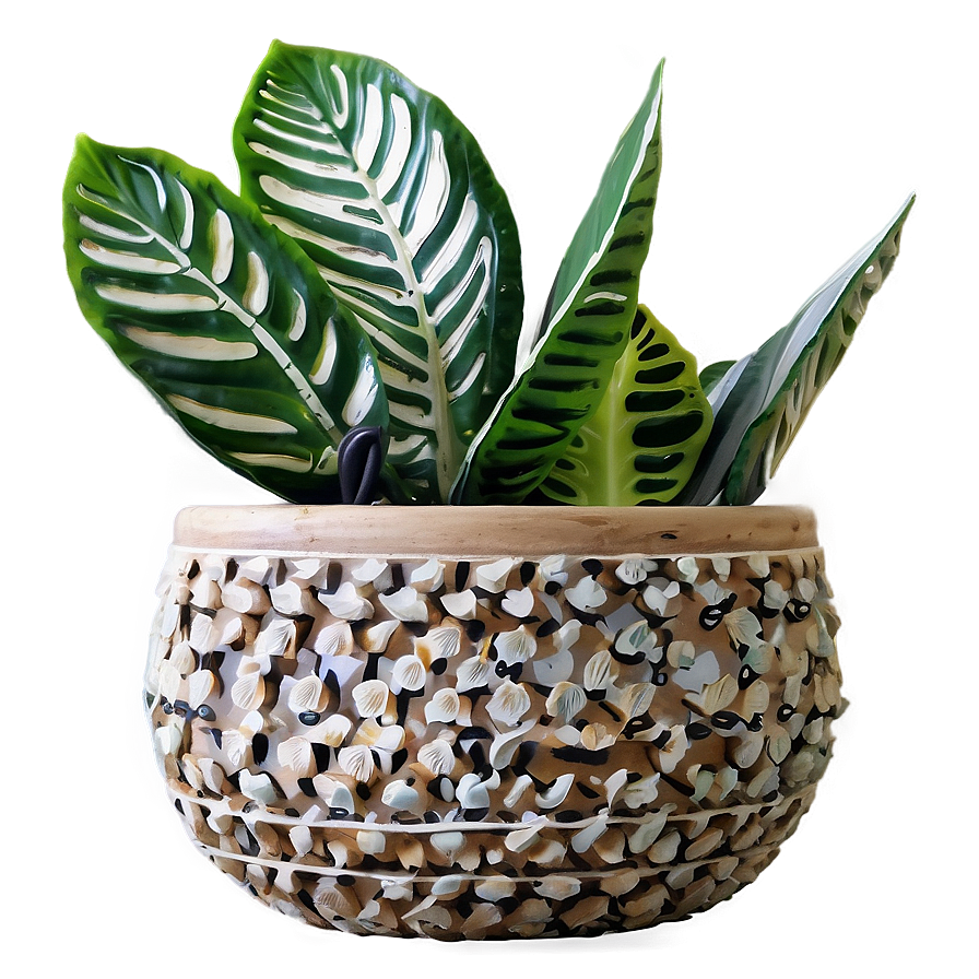 Plant-inspired Home Decor Png Yyo11