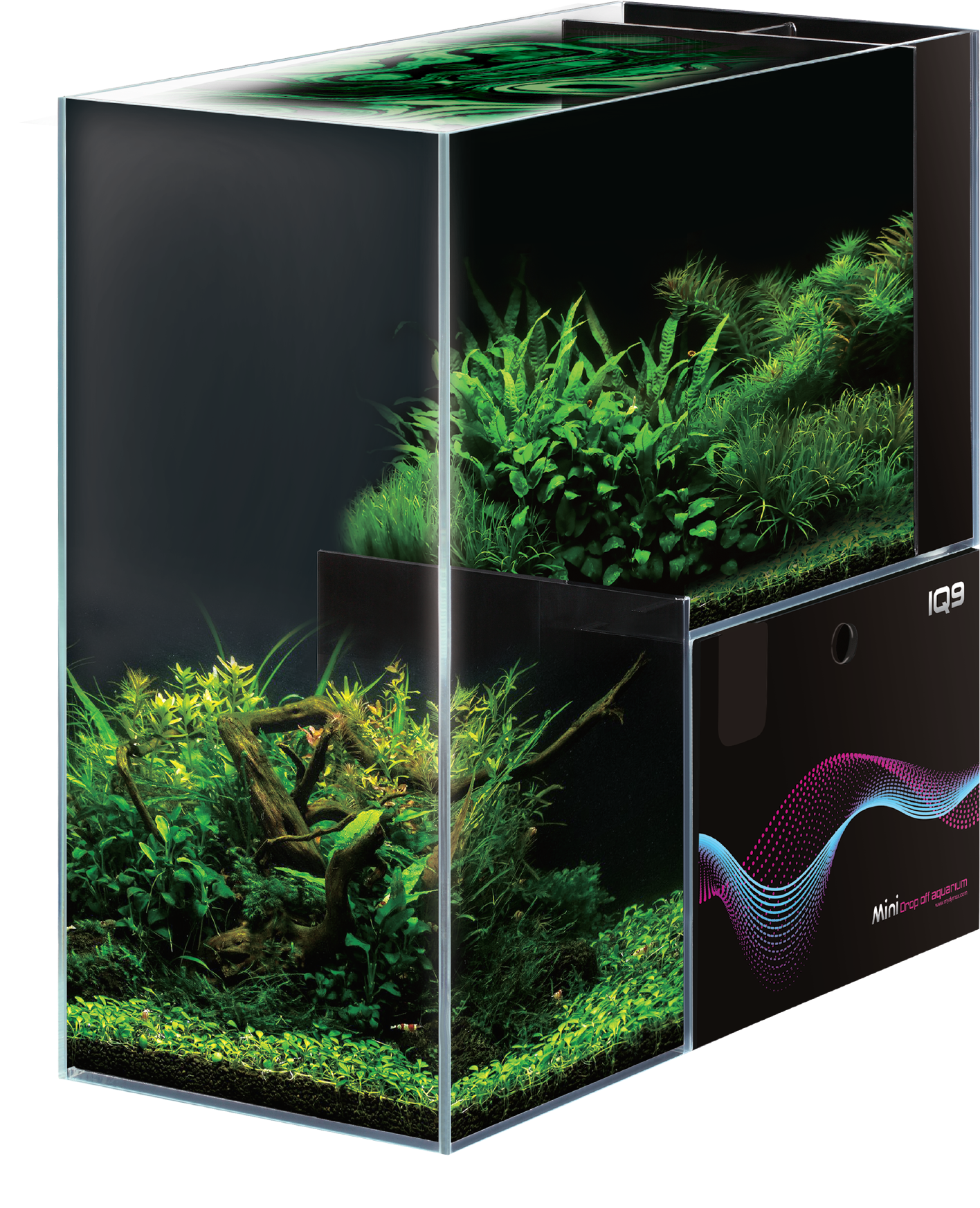 Planted Aquarium Cube Design