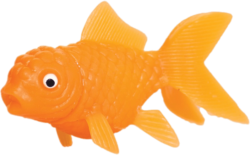 Plastic Goldfish - Squirting Goldfish, HD Png Download PNG with transparent background