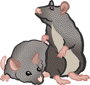 Playful Cartoon Rats PNG with transparent background