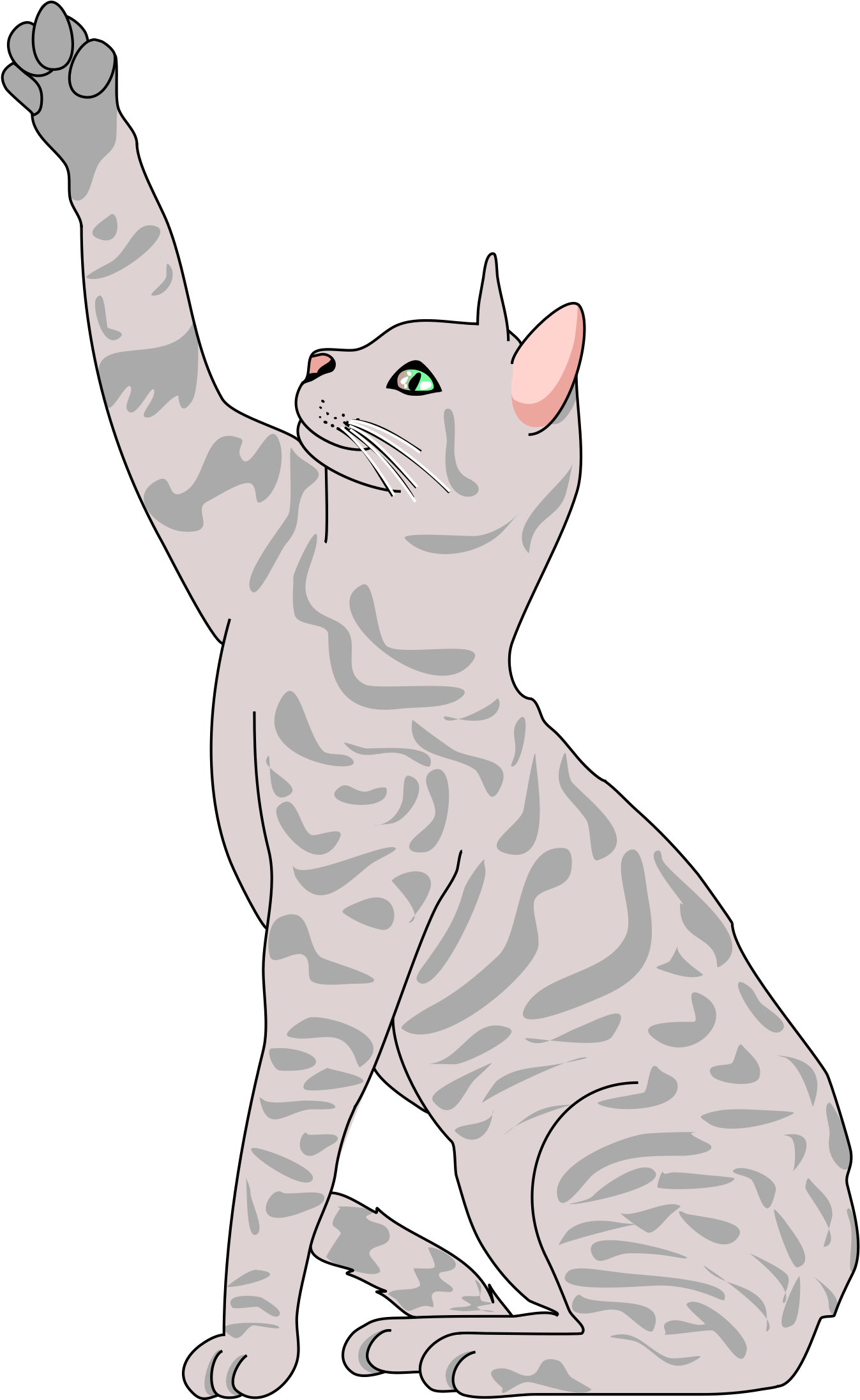 Kittens Clipart Playful - Cat Clipart Free, HD Png Download PNG with transparent background