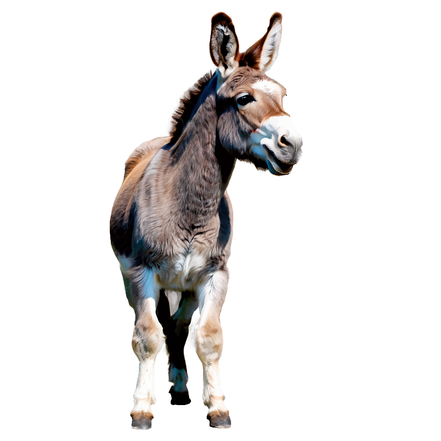 Playful Donkey Png Dqu30