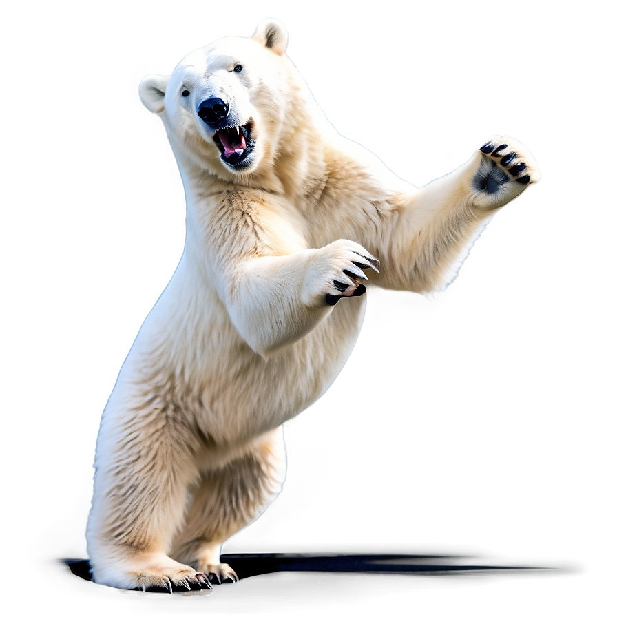 Playful Polar Bear Png Ydh