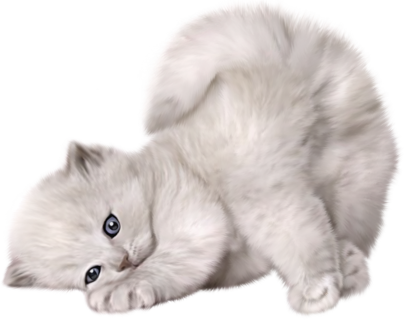 Cat Png - Cute Cat Transparent Background, Png Download PNG with transparent background