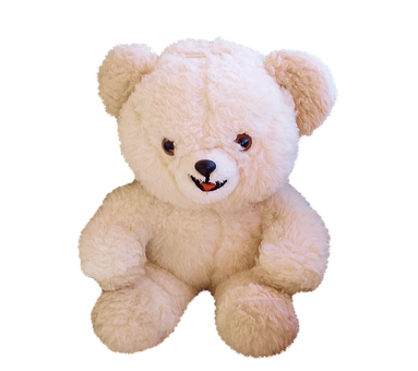 Plush Teddy Bear Black Background.png