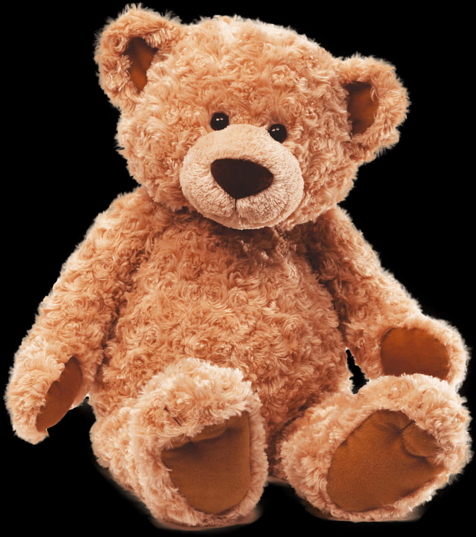 Plush Teddy Bear Isolated