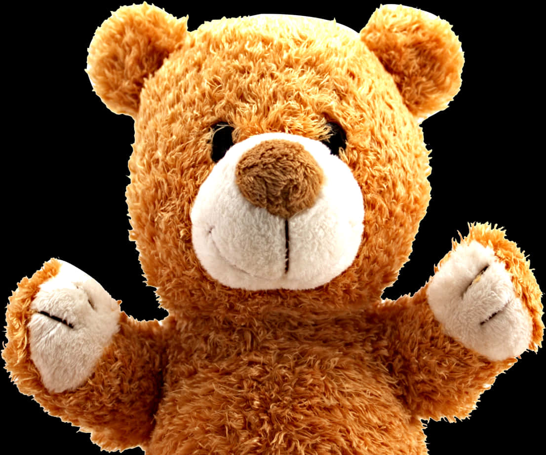 Plush Teddy Bear Toy