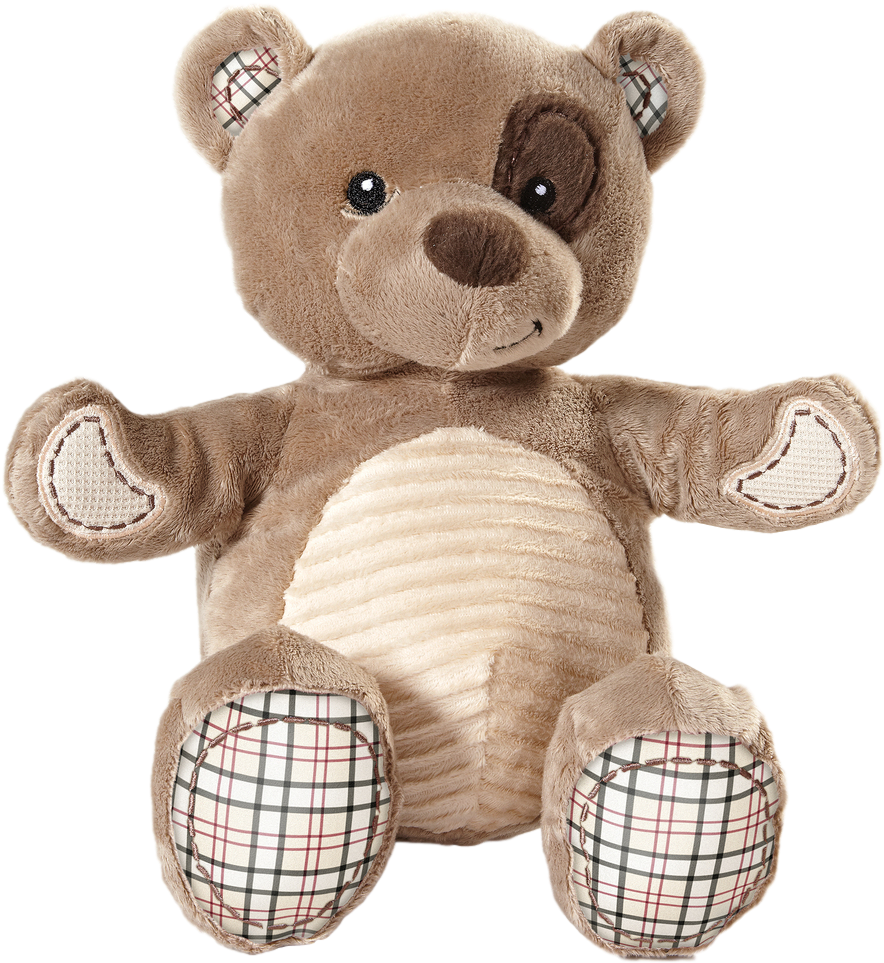 Plush Teddy Bear Toy.png