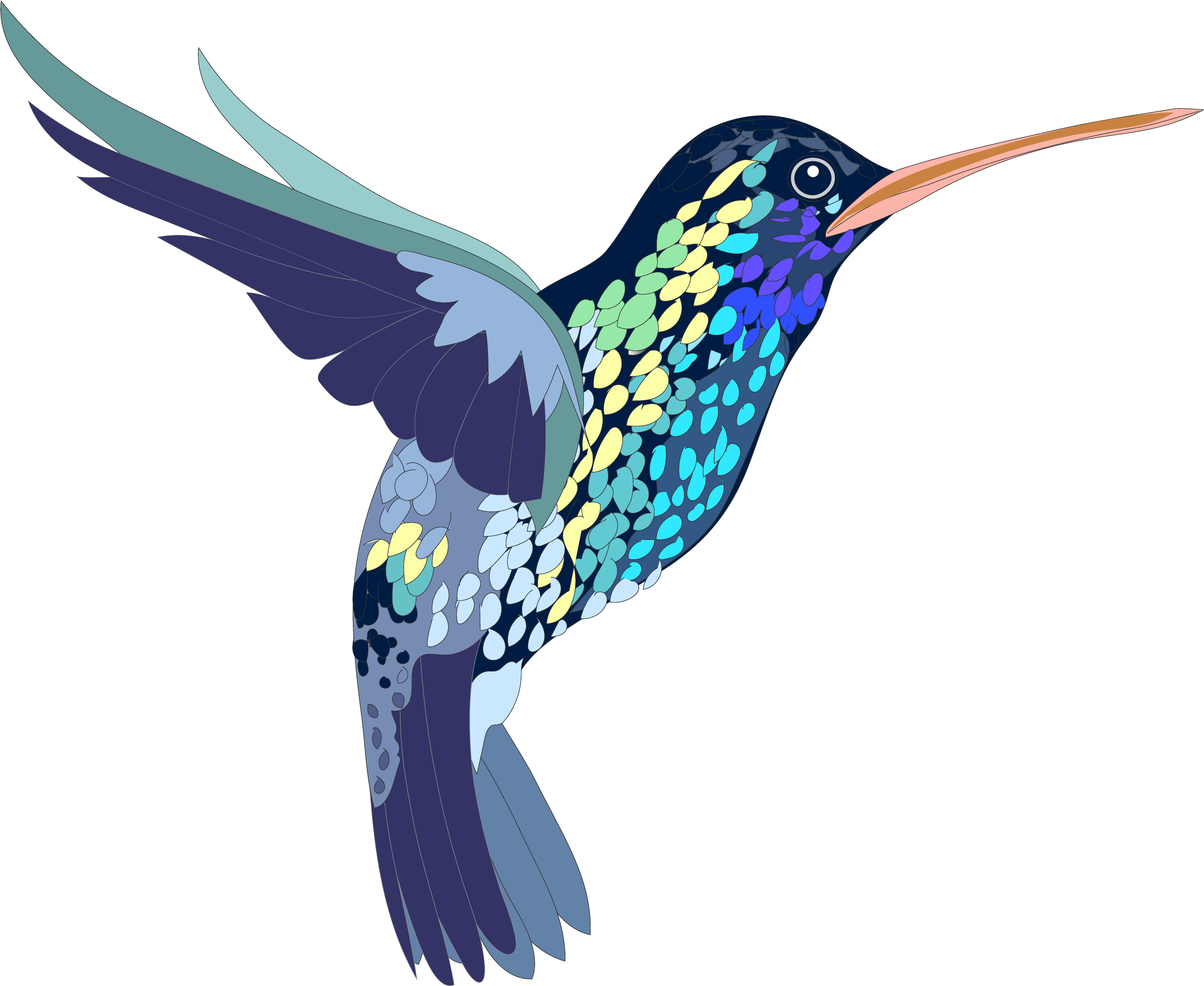 Png, Bird, Hummingbird, Colorful, Illustration, Shapes - Realistic Animal Clip Art, Transparent Png PNG with transparent background