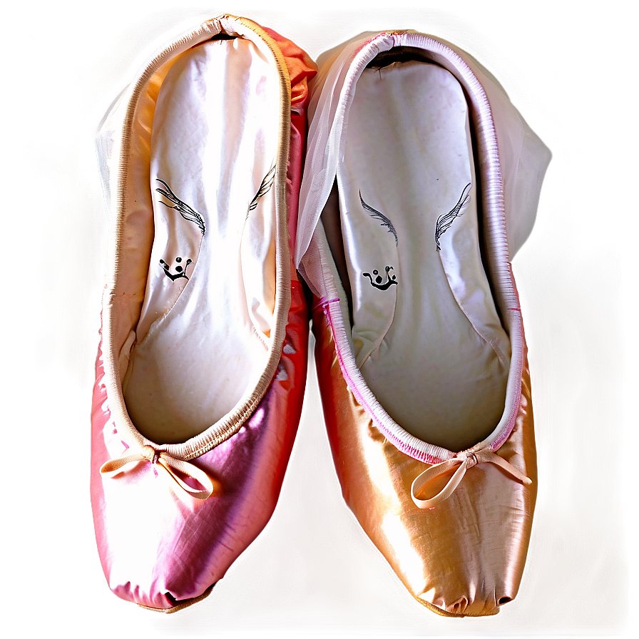 Pointe Shoes D