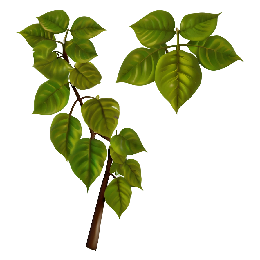 Poison Ivy Leaves Png 59