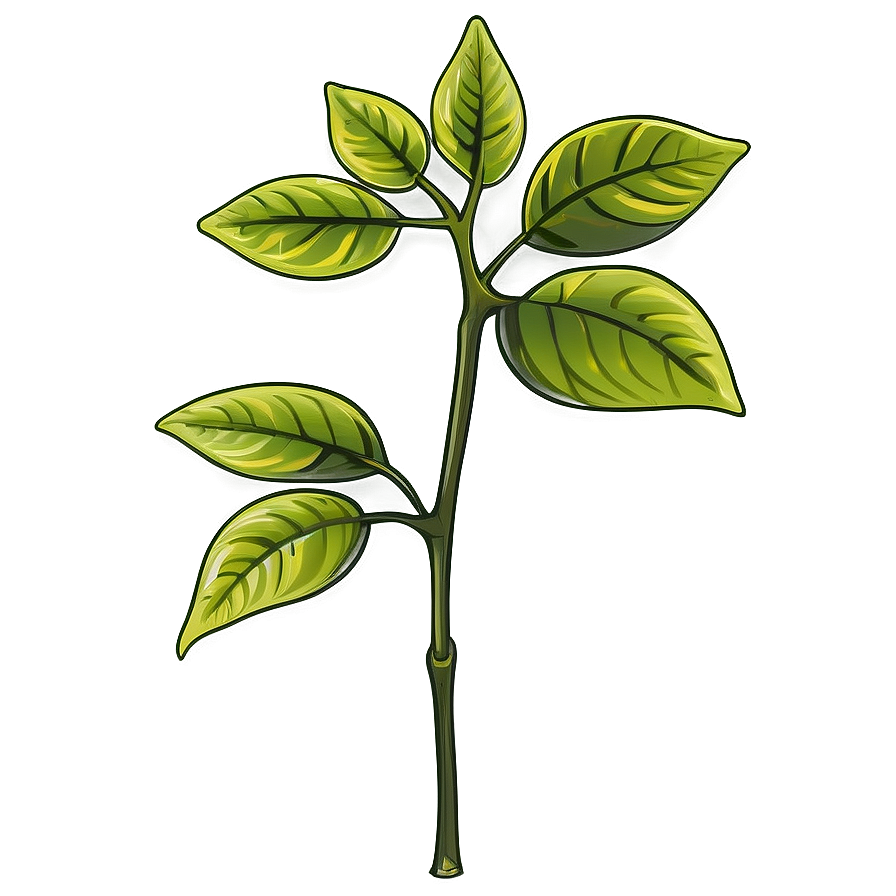 Poison Ivy Plant Png Jxv23