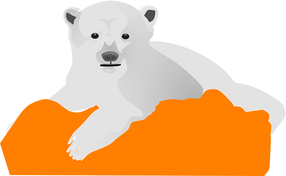 Ice Bear, Polar, Cold, Animal, White, Arctic, Cute - Polar Bear Clip Art, HD Png Download PNG with transparent background